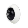 MaxShine ROTARY Polisaj Makineleri için 125mm Cırtlı Taban