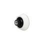 MaxShine ROTARY Polisaj Makineleri için 70mm Cırtlı Taban