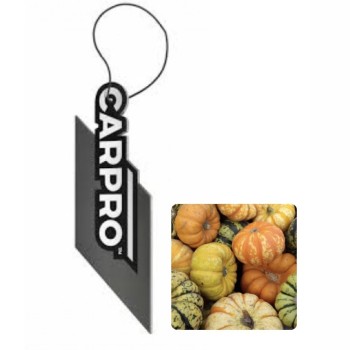                                                                                                                                        CarPro Askı Koku - Bal Kabağı Kokulu ( Squash ) Sarı