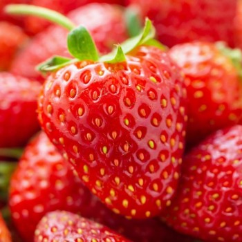                                                                            Tasotti Pom Pom Strawberry (Çilek Aromalı Askı koku)
