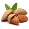                                                                                                                                       CarPro Askı Koku - Badem Kokulu ( Almond ) Beyaz