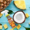                                                                                                    Chemical Guys Piña Colada Air Freshener & Odor Eliminator – Ananas & Hindistan Cevizli Kokteyl Kokusu 120ml 