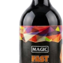 MAGİC FAST WAX – Parlak Hidrofobik Hızlı Cila - 1 Litre