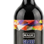                        MAGİC GLOSS DETAILER –  Hızlı Cila ( Hidrofobi ve Yüksek Parlaklık ) - 1 Litre  